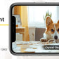 BoyKeep Smart Camera 2K Security Protection Wifi Surveillance 5G/2.4GHz Indoor Baby Night Vision 360° Pan & Tilt 2-Way Audio K30